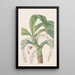 Éria with many tails - Sydenham Edwards — framed artwork on a wall