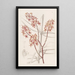 Renanthera du matin - Sydenham Edwards — framed artwork on a wall