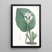 Eurycles Painting by M. Cunningham - Sydenham Edwards — framed artwork on a wall