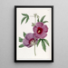 Hibiscus Painting by M. Lindley - Sydenham Edwards — framed artwork on a wall