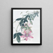 Mme Marryat's Taxonia - Sydenham Edwards — framed artwork on a wall