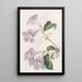 Bignonia painting by Sydenham Edwards — framed artwork on a wall
