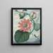 Flower of Passion - Sydenham Edwards — framed artwork on a wall