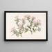 Onagre au crayon - Sydenham Edwards — framed artwork on a wall