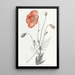 Persian Poppy Painting - Sydenham Edwards — framed artwork on a wall