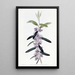 Hovea pourpre - Sydenham Edwards — framed artwork on a wall