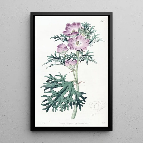 Purple Mauve Painting - Sydenham Edwards — framed artwork on a wall
