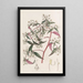 Centradénie rose - Sydenham Edwards — framed artwork on a wall
