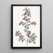 Fuchsia painting with small leaves - Sydenham Edwards — framed artwork on a wall