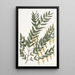 Scottia painting with smooth branches - Sydenham Edwards — framed artwork on a wall