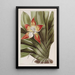 Huntleya tachetée - Sydenham Edwards — framed artwork on a wall