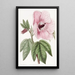 Hibiscus splendide - Sydenham Edwards — framed artwork on a wall