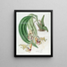 Coryanthes tacheté - Sydenham Edwards — framed artwork on a wall