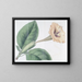 Solandra à fleurs tachetées - Sydenham Edwards — framed artwork on a wall