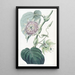 Passiflore à lanières - Sydenham Edwards — framed artwork on a wall