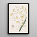 Oncidium with linden leaves - Sydenham Edwards — framed artwork on a wall