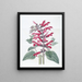 The Wise Cardinal - Sydenham Edwards — framed artwork on a wall