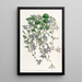 La campanule de Saint Angelo - Sydenham Edwards — framed artwork on a wall