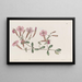 Le Schafta - Sydenham Edwards — framed artwork on a wall