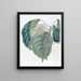 L'Arbre Adragante de Sierra Leone - Sydenham Edwards — framed artwork on a wall