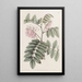 L'indigo gracieux - Sydenham Edwards — framed artwork on a wall