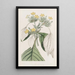 La mussaenda à grandes feuilles - Sydenham Edwards — framed artwork on a wall