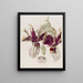 Stanhopea with Tiger Striped Flowers - Sydenham Edwards — framed artwork on a wall