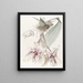 Von Martius Stanhopea Bicolore - Sydenham Edwards — framed artwork on a wall
