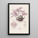 Caelogyne de Wallich - Sydenham Edwards — framed artwork on a wall