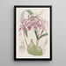 Épidendrum verruqueux - Sydenham Edwards — framed artwork on a wall