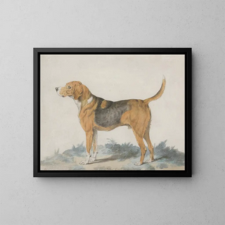 a standing profile dog, facing left - Sydenham Teast Edwards — framed artwork on a wall