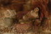Woman with a Guitar - Szymon Buchbinder — artwork view