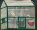 Cage with a Canary - Tadeusz Makowski — artwork view