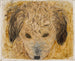 Head of a dog - Tadeusz Makowski — artwork view