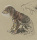 Teckel sitting turned to the left - Anton Burger — artwork view