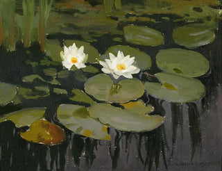 Nymphéas - Teodor Ziomek — artwork view