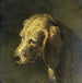 Head of a dog - Nicolas Toussaint Charlet — artwork view