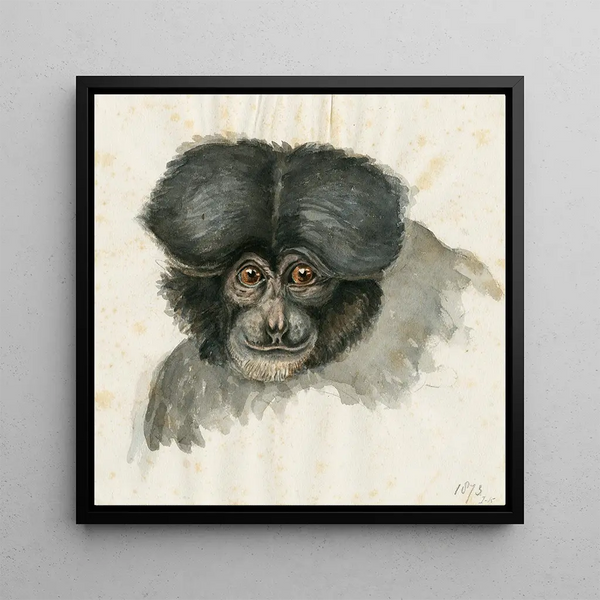 Head of a Monkey - Floris Verster — framed artwork on a wall