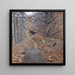 Tetra with reddish feathers male in the forest - Gerald Thayer — framed artwork on a wall