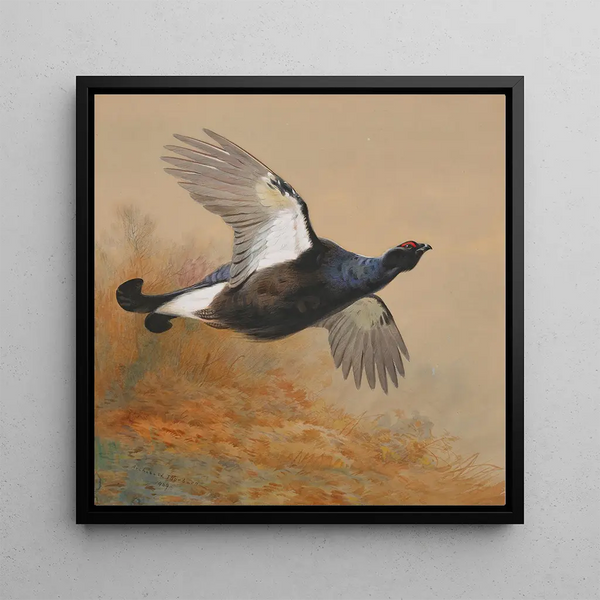 Grouse in Flight - Archibald Thorburn — framed artwork on a wall