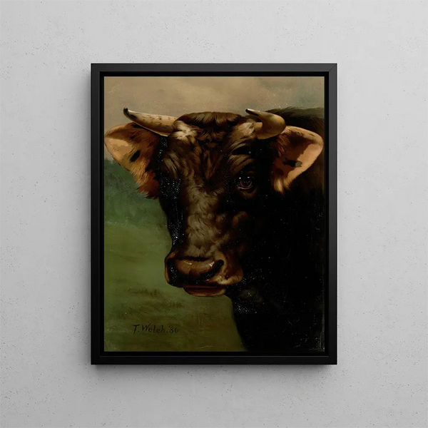 Head of a Bull - Thaddeus Welch — framed artwork on a wall
