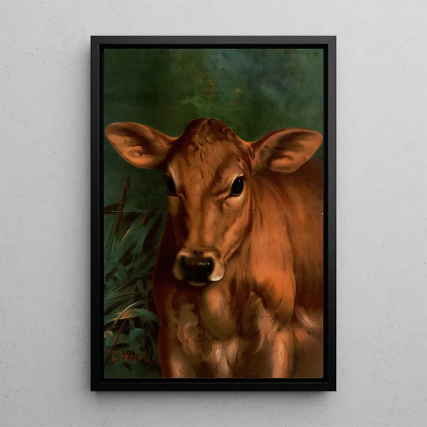 Tête de veau - Thaddeus Welch — framed artwork on a wall