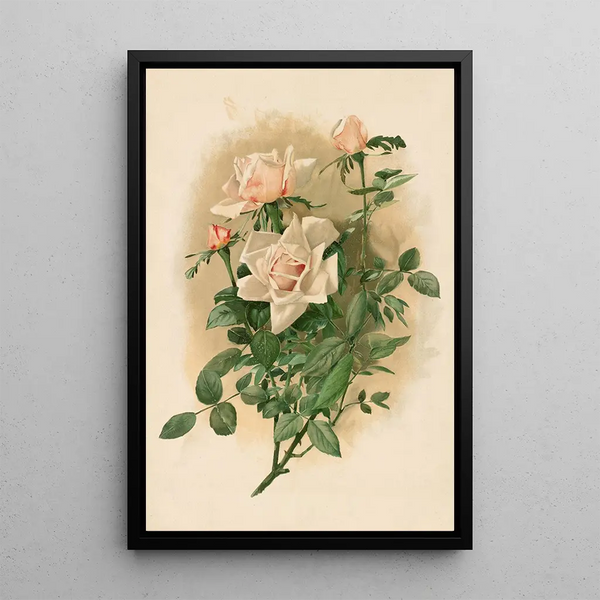 Roses Duchesse de Vallombrosa - Thaddeus Welch | Painting — framed artwork on a wall
