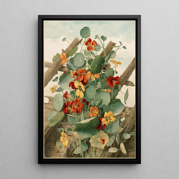 Les Capucines n° 2 - Thaddeus Welch — framed artwork on a wall