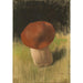 Reproduction of the painting The Mushroom - Franz von Stuck