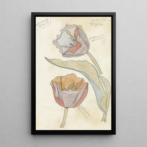 Tulips - Theo Colenbrander — framed artwork on a wall