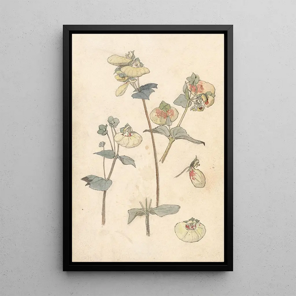 Flower Studies Painting - Theo Nieuwenhuis — framed artwork on a wall
