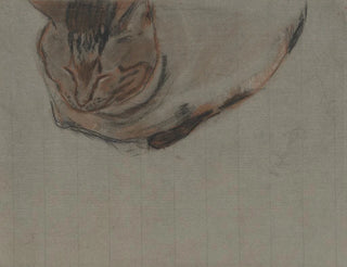 Cat lying down - Theo Nieuwenhuis — artwork view