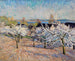 Apple Blossom Painting at Werder - Theo Von Brockhusen — artwork view