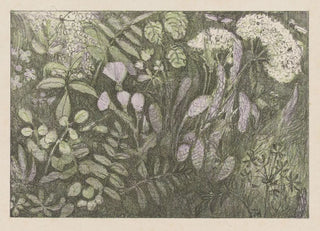Flowers and Plants - Theo van Hoytema — artwork view